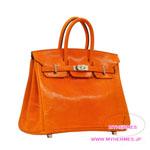 GX[HERMES]@o[L 25cm[Birkin 25cm]@U[h@IW@Vo[