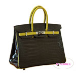 GX [HERMES]o[L 25cm [Birkin 25cm]jeBJX@~Tg[YejE